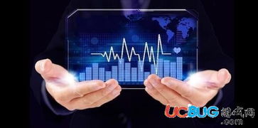 凯撒网 数字技术服务的平台与安全性探讨